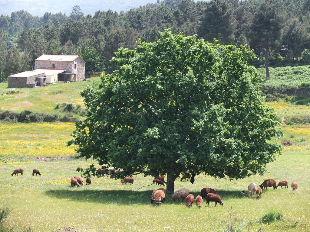 Quinta Da Cerdeira Villa Seia Exterior foto